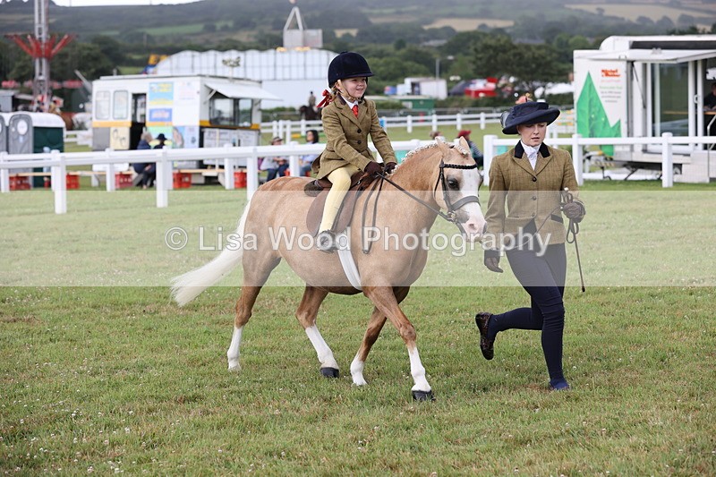 JPP_0357 - Class 14: Cornish Combination Leading Rein