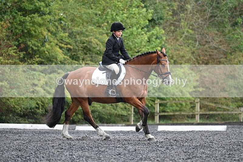 WJ7_6142 - Time 11:38 to 12:03