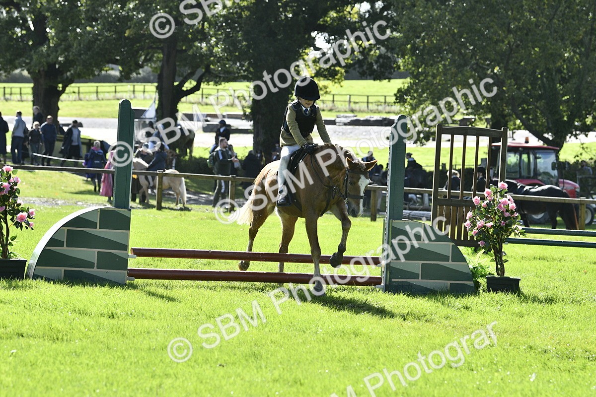 SBM_38217 - S31 - Novice & Newcomer Working Hunter Pony