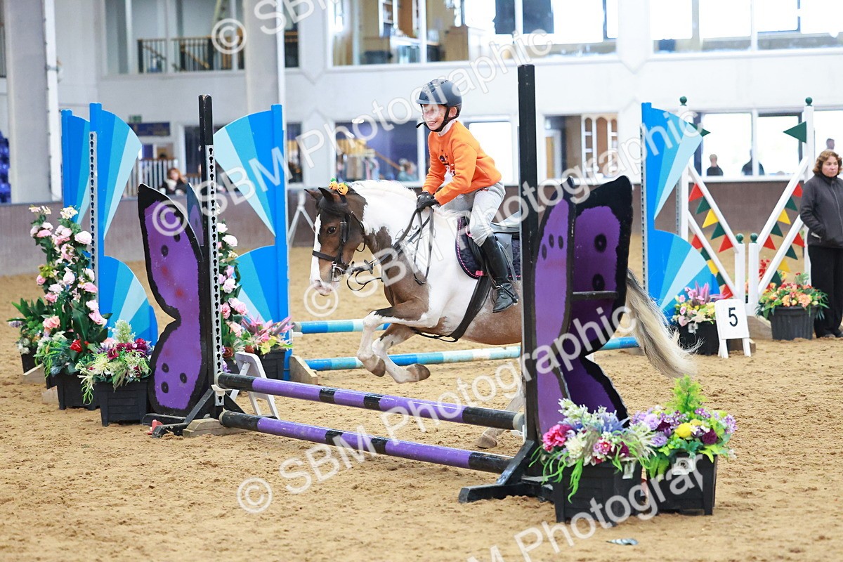 SBM_001698 - Class 3 - Horse & Hound (60cm)