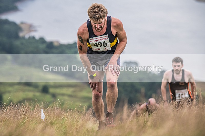 Steel Fell-264 - Steel Fell Race Wednesday 6th August 2025