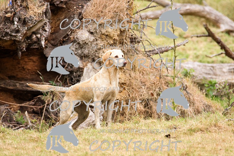 2R6A3147 - TEAM F: MIDLANDS 16-17-18