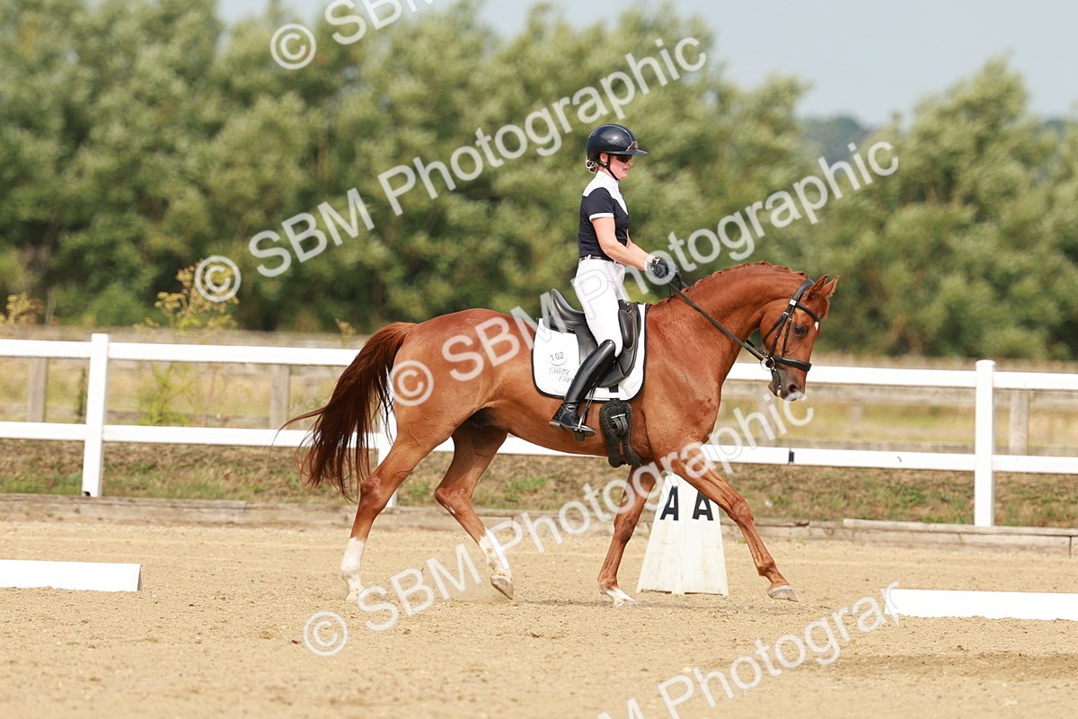 SBM_021617 - Class 13 - N5