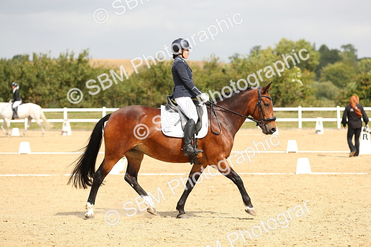 SBM_016466 - Class 13 - Novice 23 - 11.25-12.35