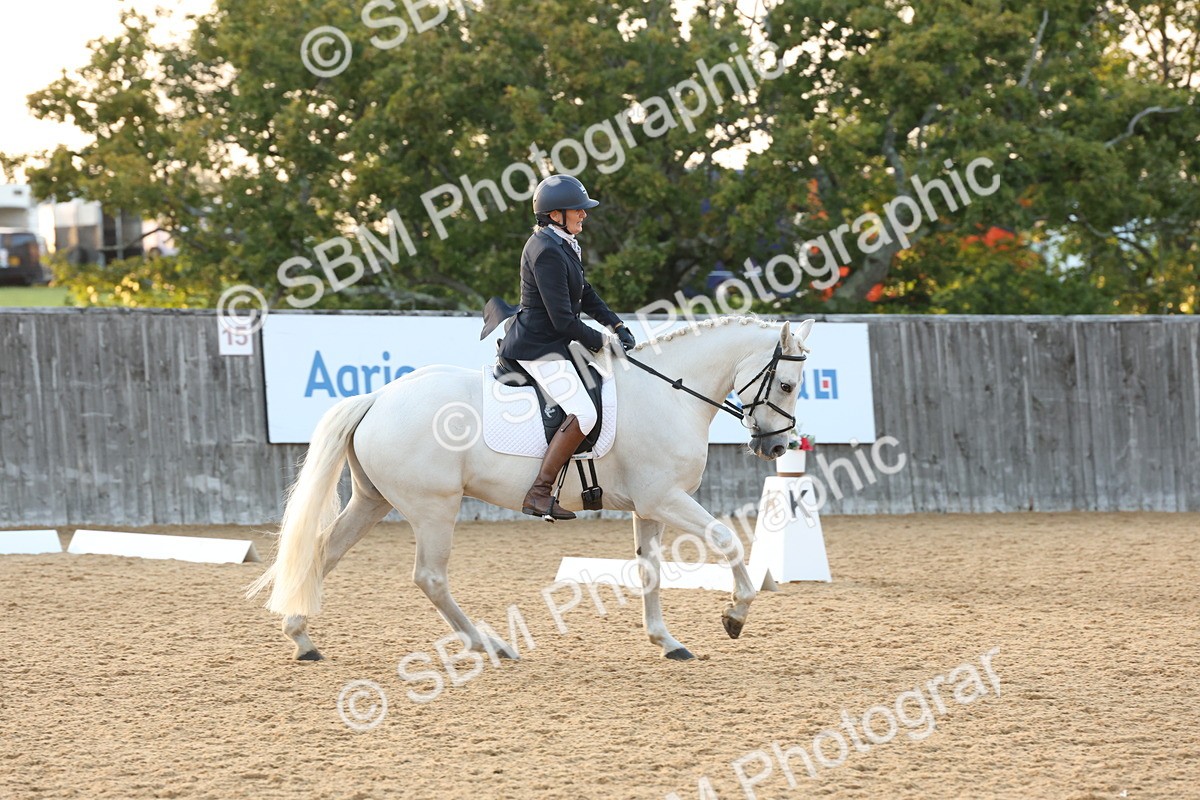 SBM_13641 - D9 - Small Tour Championship Prelim 3