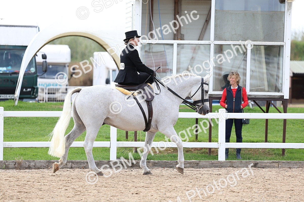 SBM_03165 - Class 22 - SSA Equitation (any age)