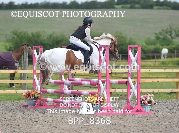 BPP_8368 - CLASS 1 British Novice / 0.80m Open