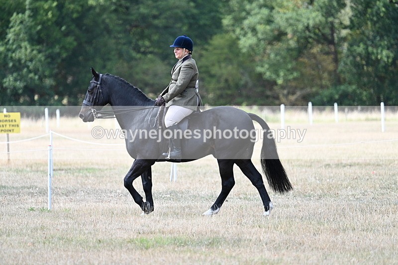 WJ7_5767 - Class 13 Ridden Veterans