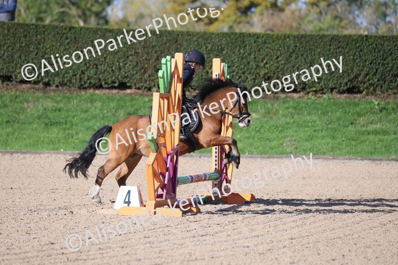 20251005-0048 - Class 1 - 40cm