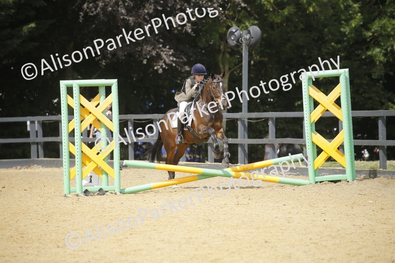 20250622-4025 - 50cm