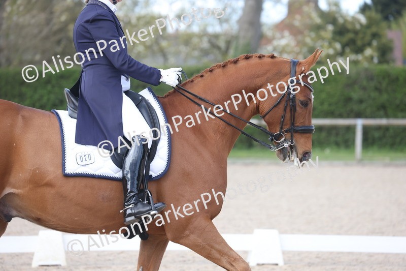 20260405-1043 - Class 12 - PSG