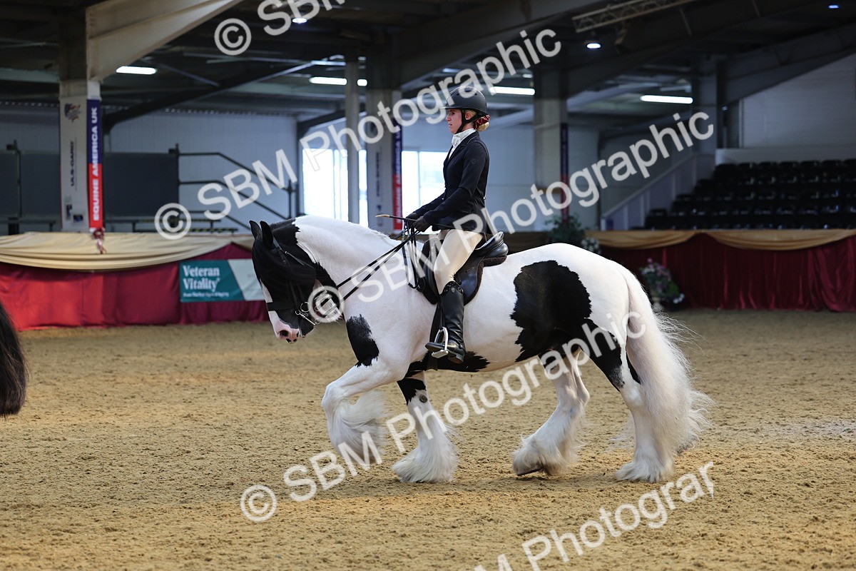 SBM_24372 - Class 906 - Supreme Final - Ridden Pre Vet