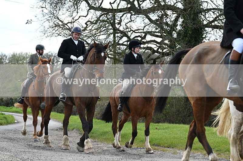 WJ7_9881 - Walk Home