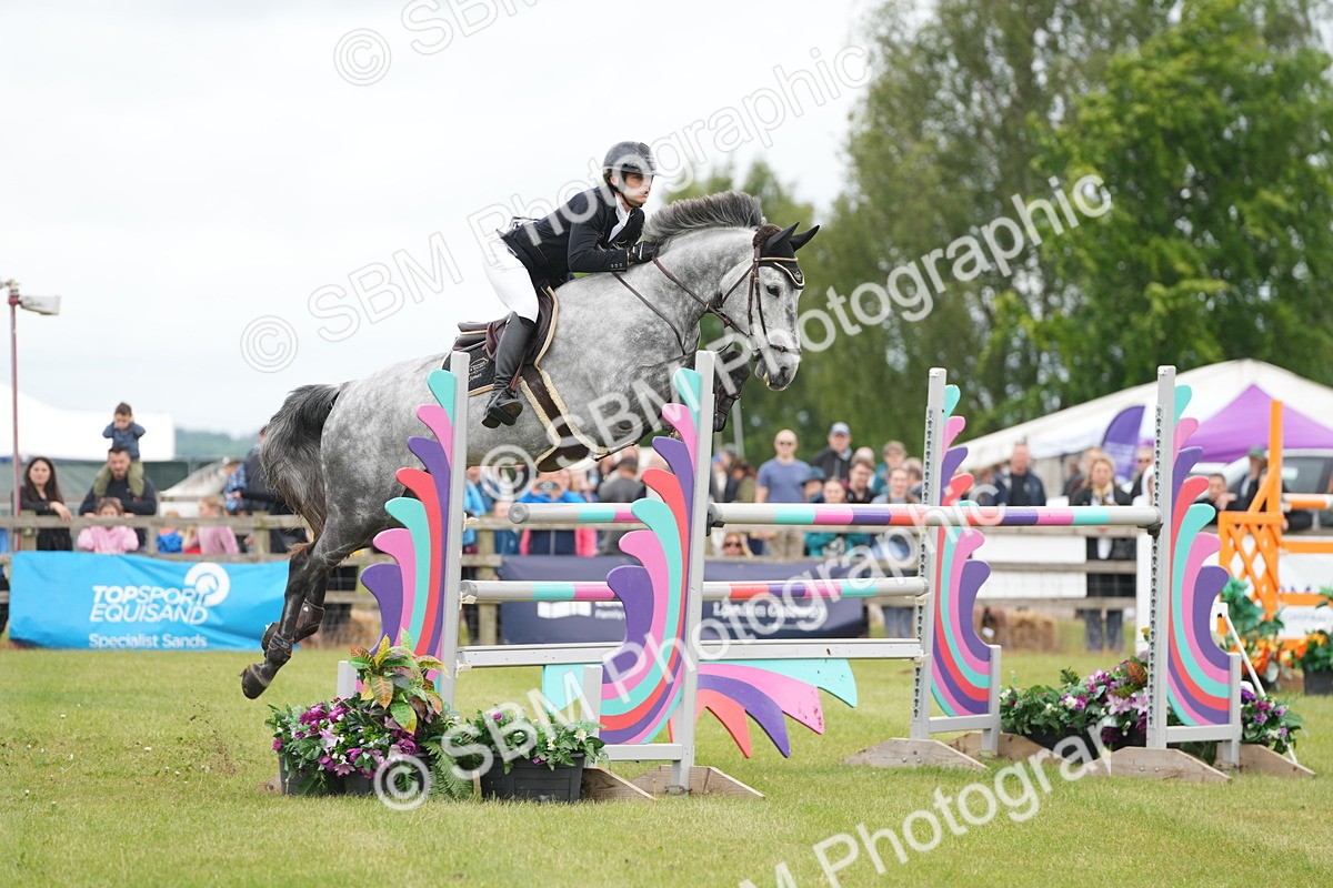 SBM_03119 - Class 201 - British Horse Feeds Speedi Beet Horse of the Year Show Grade  C