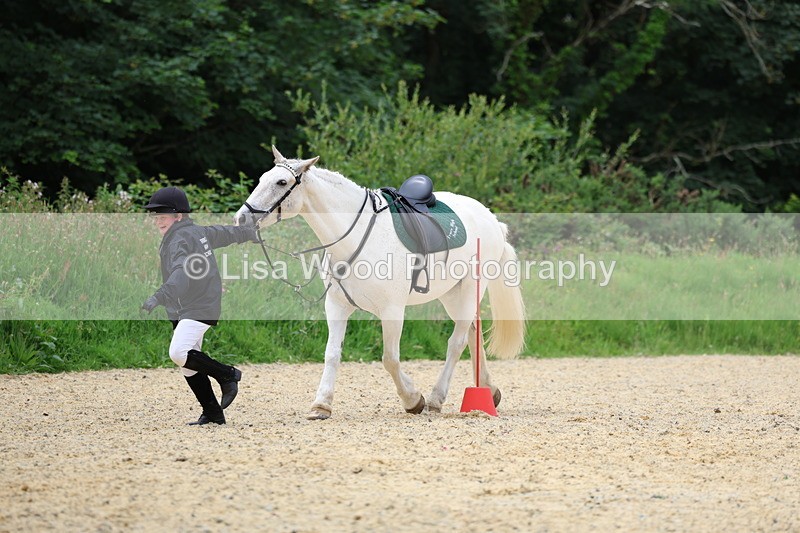 3E7A9645 - Walk trot run