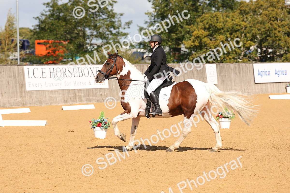 SBM_02512 - D10 - Small Tour Championship Prelim 2