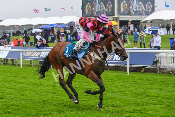 140723-Race 4-Andaleep-0407 - Race 4 3.50pm Azets Handicap