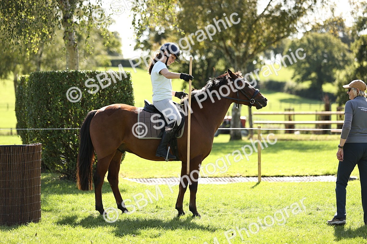 SBM_23095 - S4 - Have a Go at Working Equitation