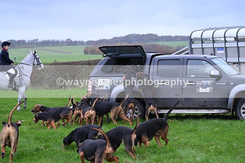 WJ7_8874 - Meet Staff & Hounds