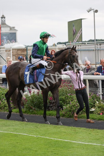 yr24072021r7-23 - Race 7 5.35pm The Sporting Life Fast Results Stakes