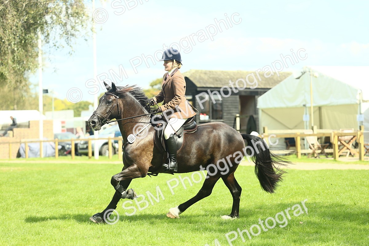 SBM_42880 - S30 - M&M Working hunter Pony