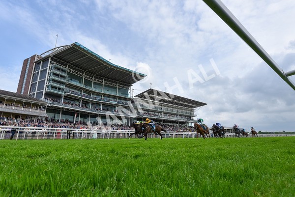 150524-Race 6-Shadow Army-5588 - Race 6 4.45pm British Stallion Studs EBF Novice Stakes