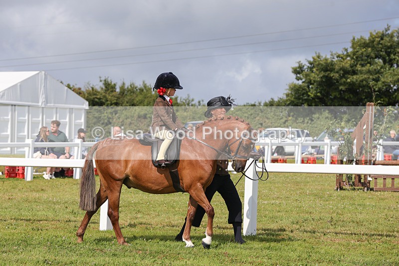 1X9A3565 - Class 29: Lead Rein SP/SHP