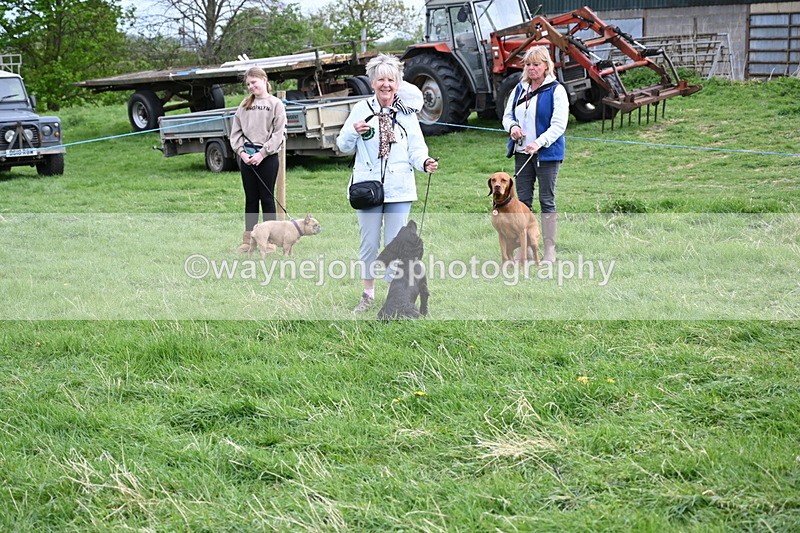 WJ6_8176 - Class 2 Best Pedigree