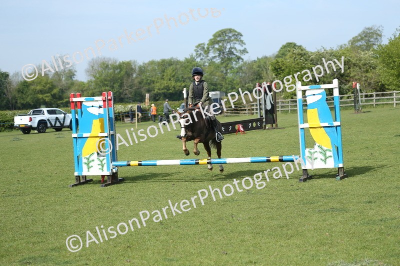20260426-0222 - Class 13 - Rookie Jumping 50cm