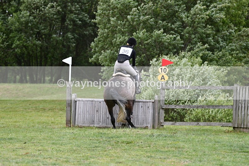 WJ5_3528 - Class 5 80cm Pairs