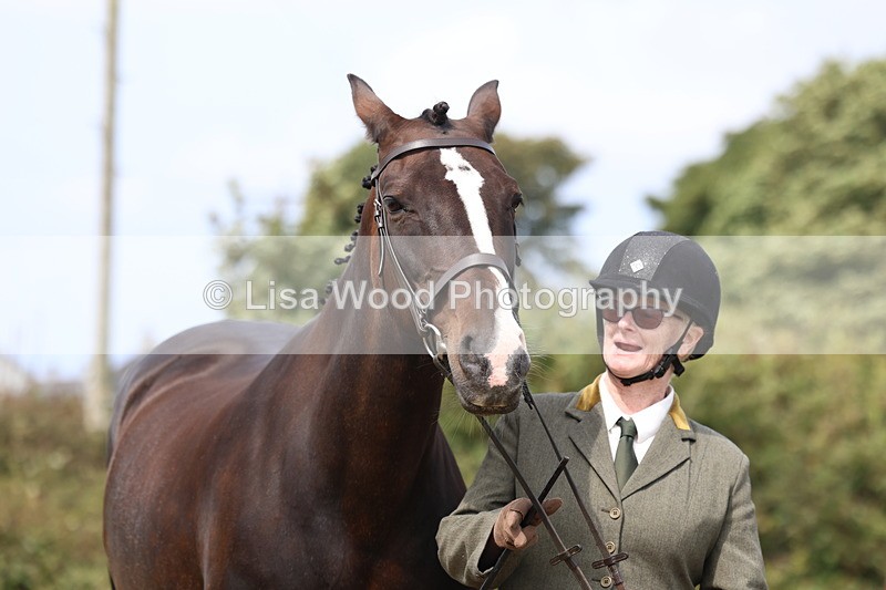 3E7A5593 - Class 20: Sports Horse In Hand