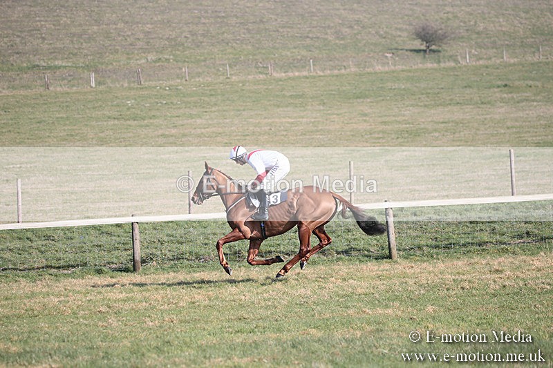 PtP 230219 179 - Vine & Craven Point-To-Point - Barbury 23/02/19