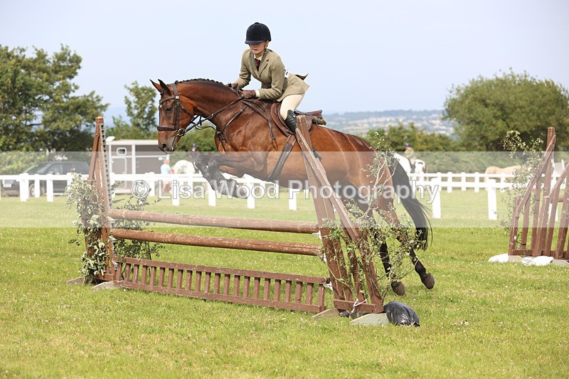JPP_4063 - Class 24: Working Hunter 90cm