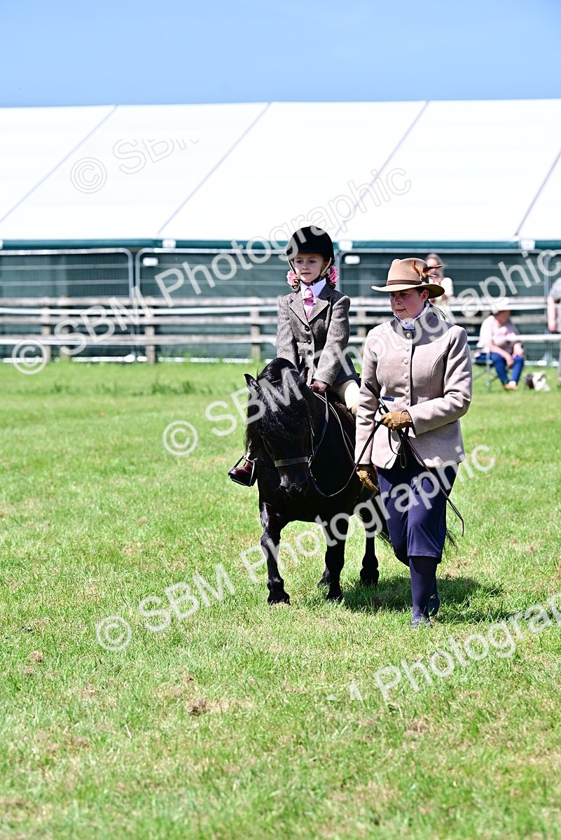 SBM_05863 - Class 59-60 - TSR M&M  Lear Rein and First Ridden Amateur of the year