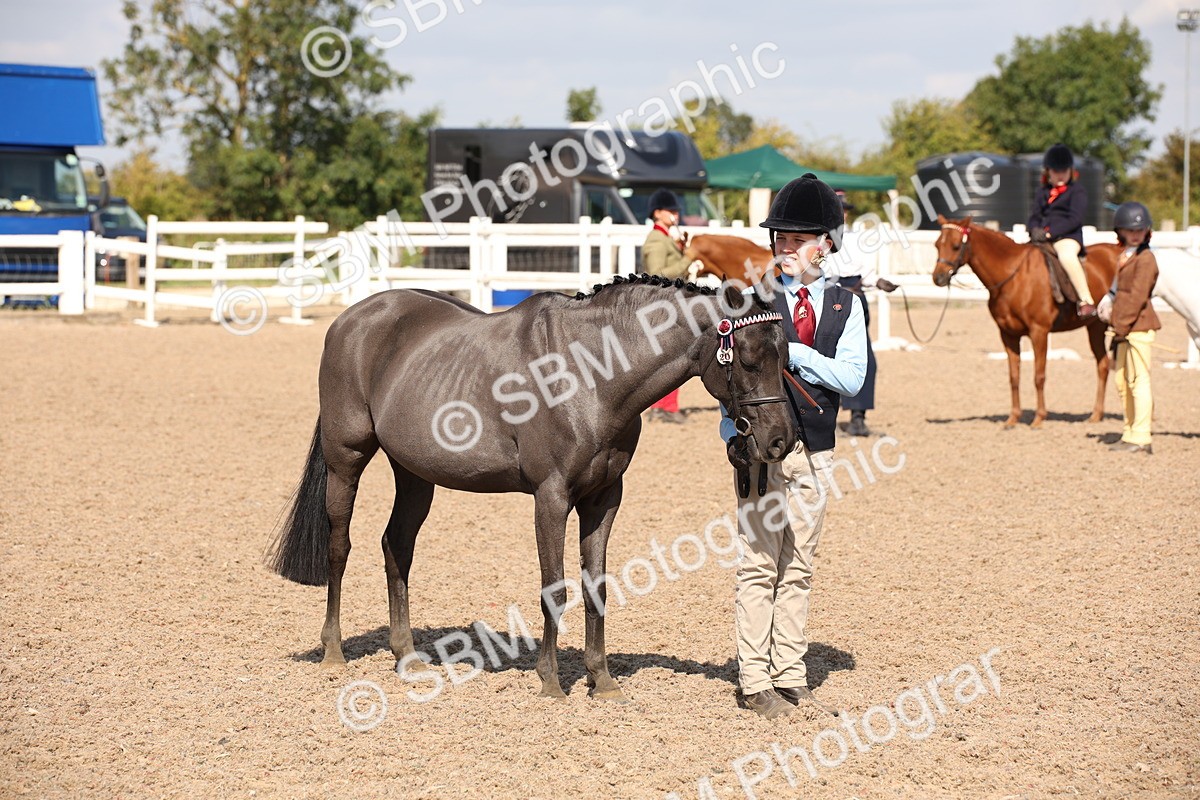 SBM_03049 - Class 17 Prettiest Mare IH or Ridden
