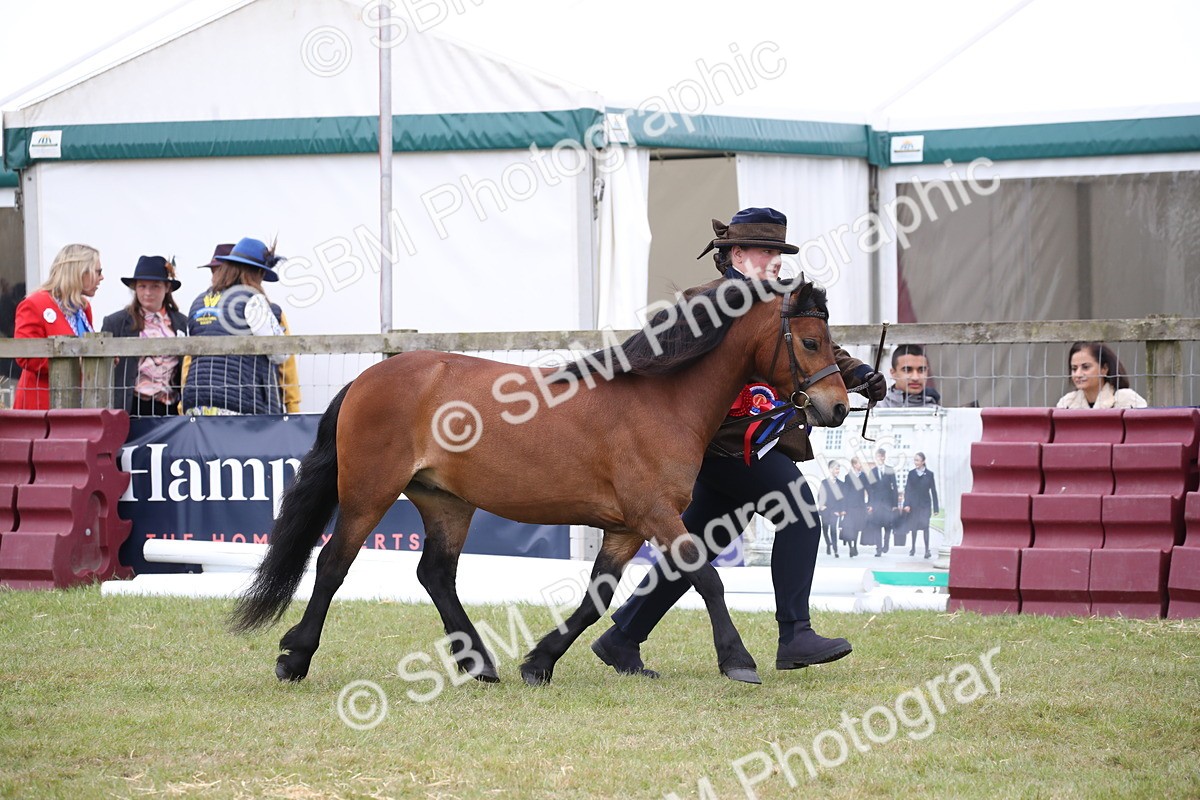 SBM_09743 - Ch 50 - Price Family Supreme In Hand