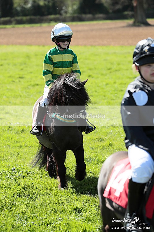 Shet 060426 369 - Shetland Pony Racing Paxford Races Easter Mon 06/04/26