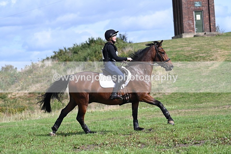 WJ7_1909 - Time 13:17 to 13:53