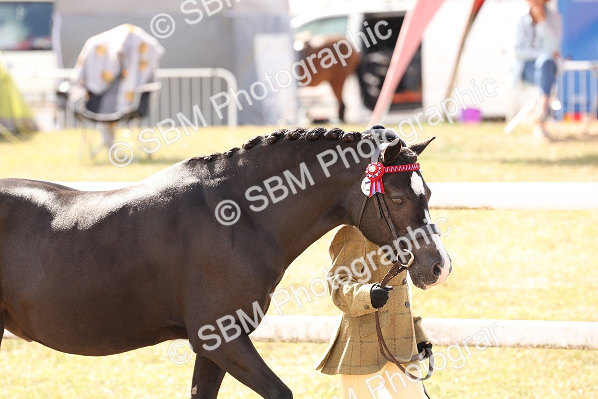 SBM_15016 - Class 209 - IH Veteran Pony