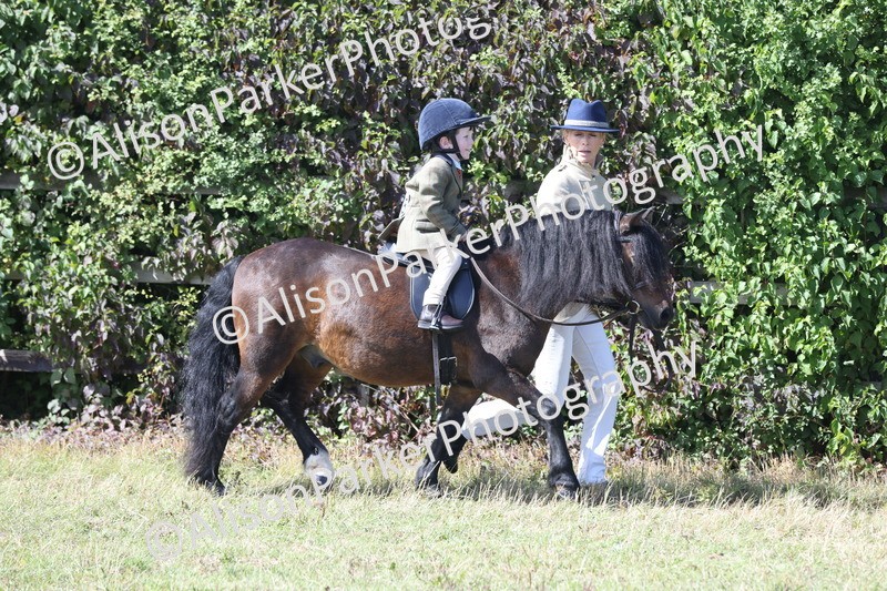 20250831-2605 - Class 17 - Lead Rein Pony