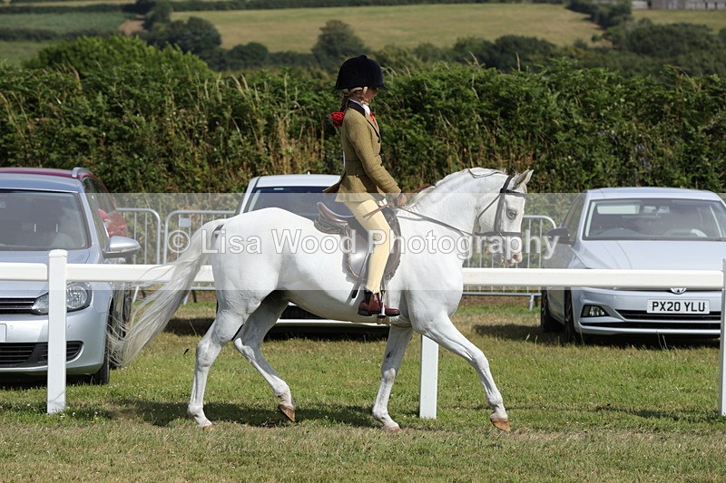 1X9A5660 - Class 40: NPS Welsh A & B