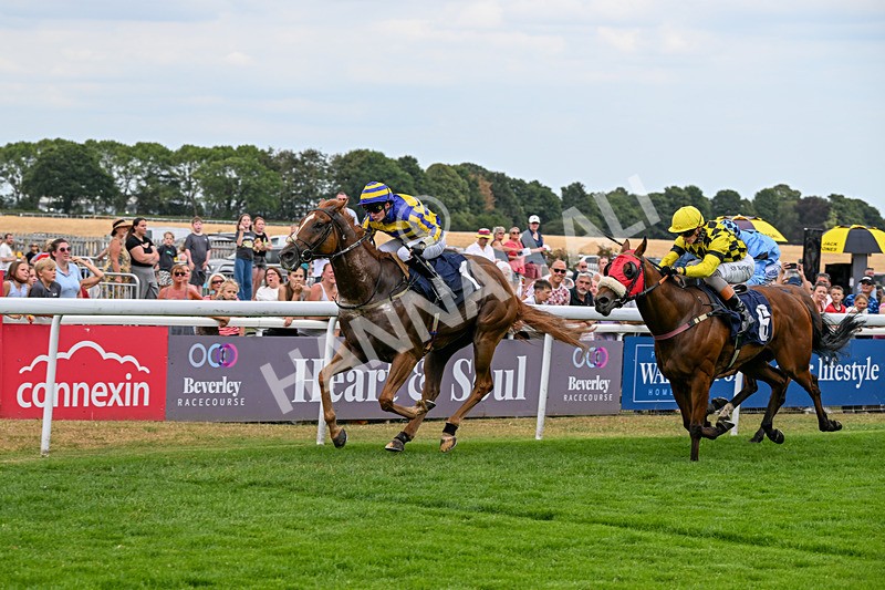 280726-Race 6-Azuinthejungle-1726 - Race 6 16.30pm It's Ladies Day Next On 12 August Handicap