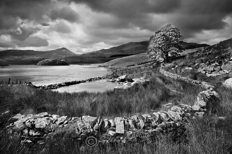 Llyn Dywarchen Snowdonia Wales - Monochrome