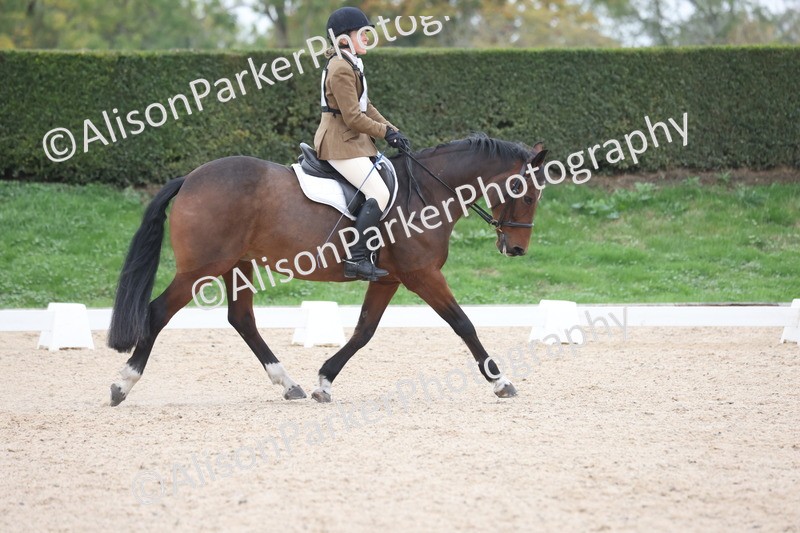 20251011-0491 - Class 4 - Novice 2