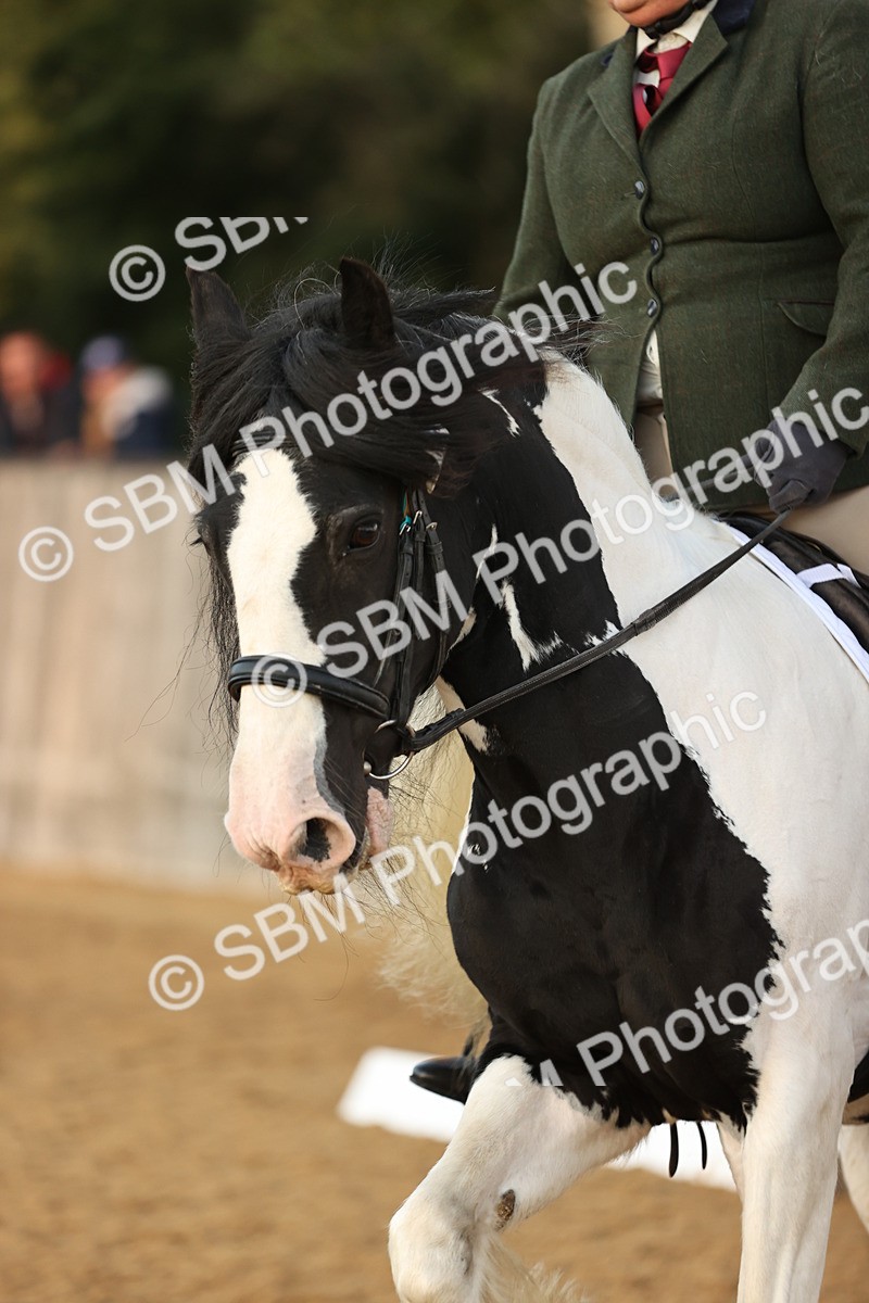 SBM_13795 - D9 Small Tour Championship Prelim 18