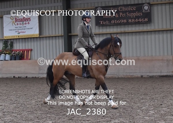 JAC_2380 - CLASS 3 Intermediate Working Hunter