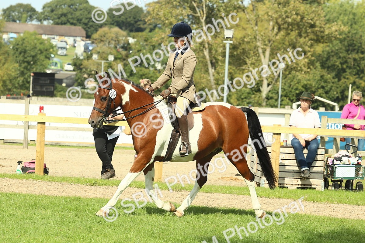 SBM_67513 - S56 - Coloured Pony Ridden