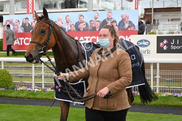 yr14052021r5-52 - Race 5 3.40pm The Jigsaw Sports Branding Handicap