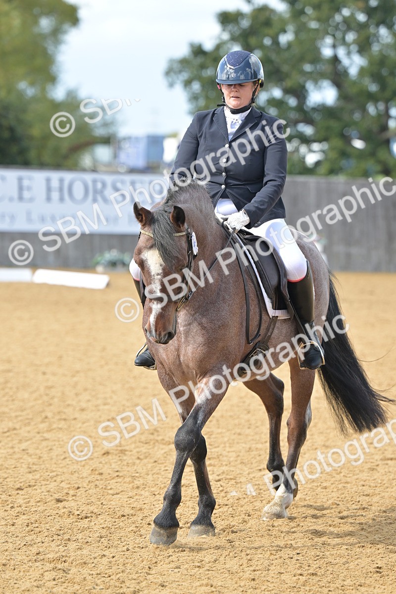 SBM_10925 - D3 - Small Tour Championship Intro 3