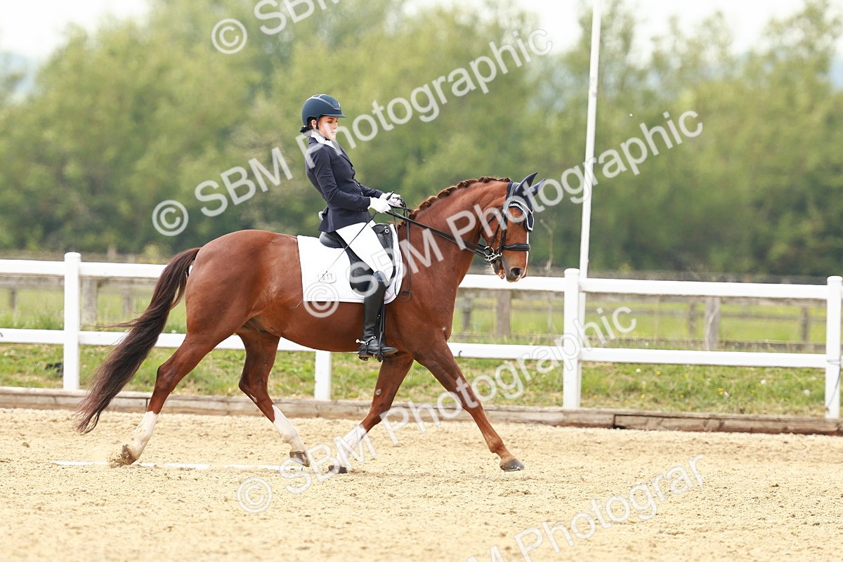 SBM_002738 - Class 12 - Medium 4